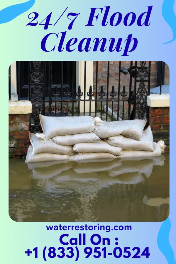 24/7 Flood Cleanup in Sylvia, KS