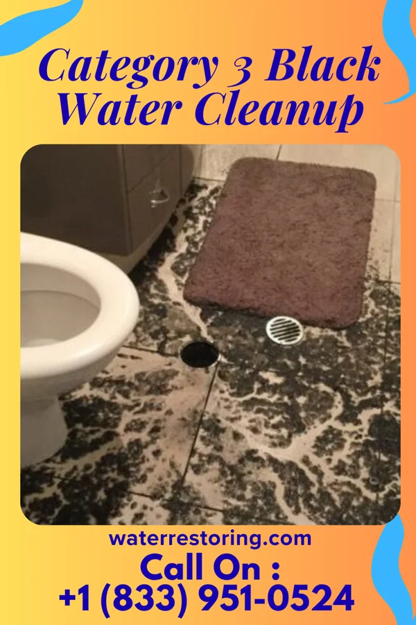 Category 3 Black Water Cleanup in Sylvia, KS