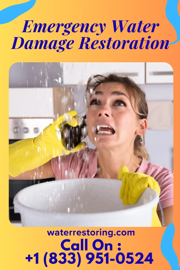 Emergency Water Damage Restoration in Sylvia, KS