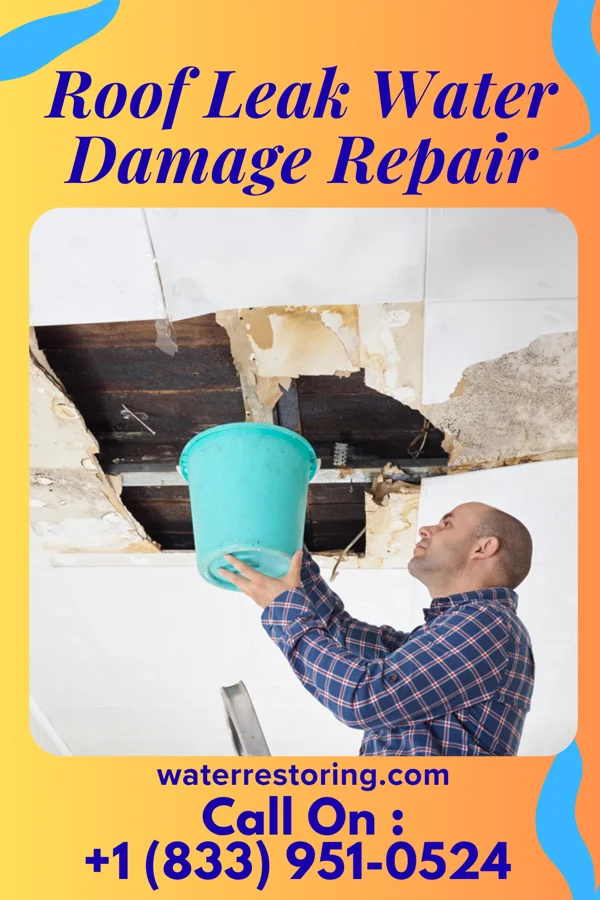 Roof Leak Water Damage Repair in Sylvia, KS