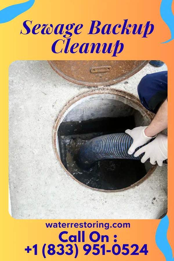 Sewage Backup Cleanup in Sylvia, KS