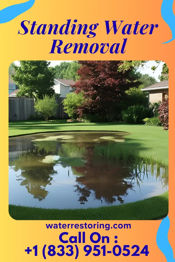 Standing Water Removal in Sylvia, KS